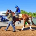 Preakness profiles: Hence