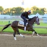 Always Dreaming “ready to roll” as Preakness preparation ends