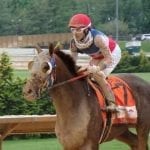 Schuler hoping Dance Queen jitterbugs to perfect start