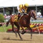 Laurel Park to offer robust summer stakes schedule