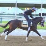 Charles Town: Latest trainer stats through May 1