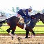 Preakness profiles: Hence