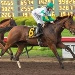 Nations barn looks to build on 2016 Delaware Park success