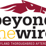Eric Reed: “If it was four weeks, we’d have been” in Preakness