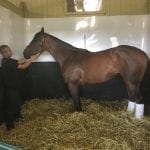 Dottie Miller’s Preakness Photo Diary