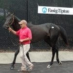 Pace scenarios: Handicapping Governor’s Day, Tax Free Shopping Distaff