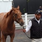 In Maryland, jockey concussion protocols a “fantastic” step
