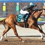 Preakness profiles: Gunnevera