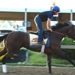 Preakness profiles: Conquest Mo Money