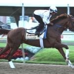 Preakness profiles: Multiplier