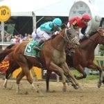Black-Eyed Susan day winners gallery