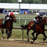 Shimmering Aspen favored in Twixt Stakes