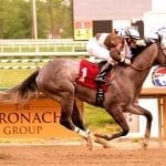 Class droppers look to bounce back in Light Hearted