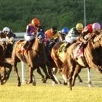 McKay Turf Sprint: Former nickel claimer Oak Bluffs on rise