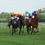 Maryland Million: Layoffs no problem for Turf, Classic favorites
