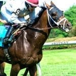 From the Spa: July 26 Midlantic-breds in Saratoga stakes