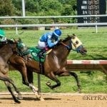 Delaware Park horses to watch: June 14, 2018