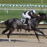 NJ Racing Commission ups fines for Navarro, Gindi