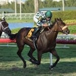 Maryland-breds to tackle Pearl Necklace, Caveat
