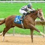 Miz Mayhem to put streak on line in Stormy Blues