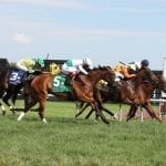 Gorham, You Know Too hoping for “one for the home team” in Oaks