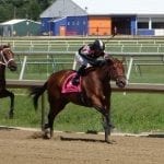Midlantic stakes recap