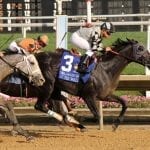 Midlantic stakes recap