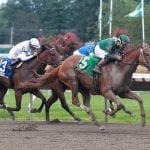 Delaware Park horses to watch: August 14
