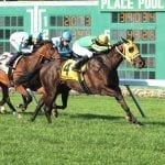 PA-bred Tom’s Ready takes G3 Bold Ruler