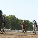 Analyze sweeps to Winter Melody victory