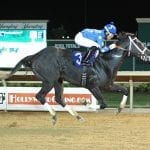 Tequilita favored in stacked edition of G3 Charles Town Oaks