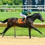 “They do all the work”: Maryland Pride jocks credit trainers