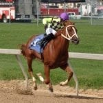 From the Spa: August 27 Midlantic-breds in Saratoga stakes