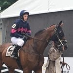 Md-bred Swoop takes Spa’s Mrs. Phipps Stakes over jumps
