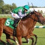 Miz Mayhem to put streak on line in Stormy Blues
