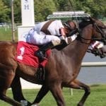 Hodsdon gets first stakes win as Sweet Sandy upsets Backer Stakes