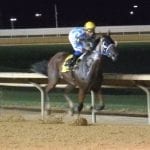 Tricky Escape storms to G3 Violet win