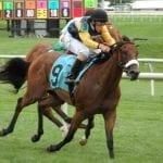 Shimmering Aspen favored in Twixt Stakes