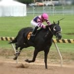 Breen holds solid Monmouth baby stakes hand
