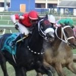 Laurel: Workouts barred as MJC assesses surface
