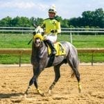 Third time the charm for pricey Special Intention