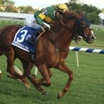 Locals Afleet Willy, Something Awesome to tackle CT Classic