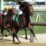 Shine Again Stakes: Preview and analysis
