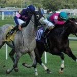 De Francis Dash result “in dispute” after Blu Moon Ace positive