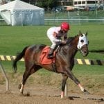Full circle as Trombetta trainee takes Big T feature