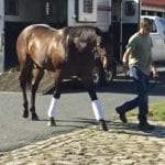 Madame Milan, kin to Barbaro, breaks her maiden