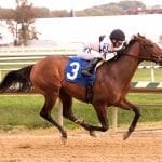 Big M turf meet concludes with big gains