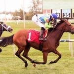 Unique Bella top mover among Top Midlantic-breds