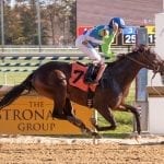 Midlantic horses prominent in Belmont stakes
