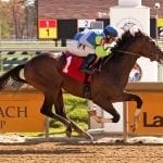 PA-bred Tom’s Ready takes G3 Bold Ruler